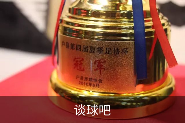 谈球吧公司简介展示图